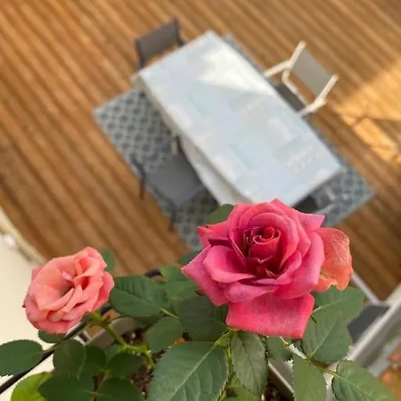 Maison Cosy A Hébergement de vacances